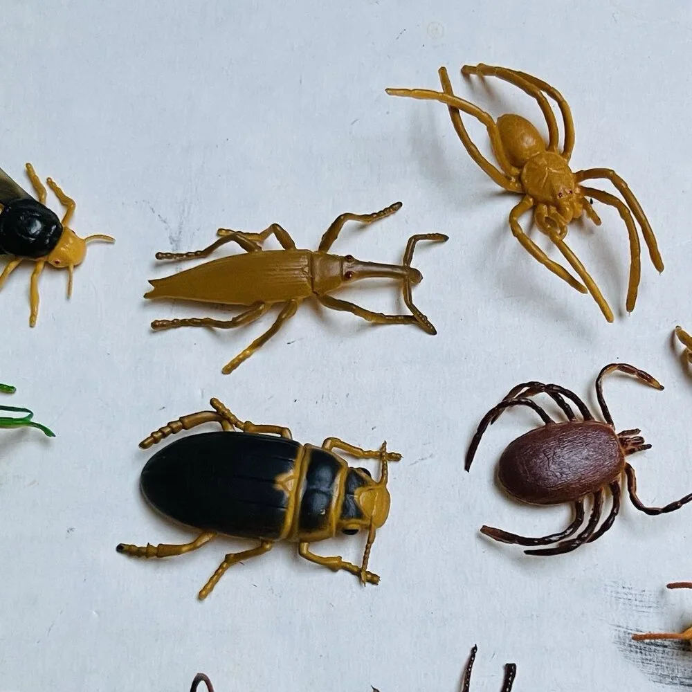 Insects Beetle Fly Weevil Mantis‎ Spider Grasshopper 11 Pieces 2in Vintage 1989